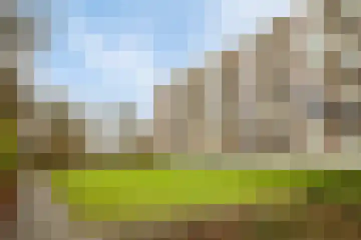Wilgenplaslaan 384 Rotterdam thumbnail 28