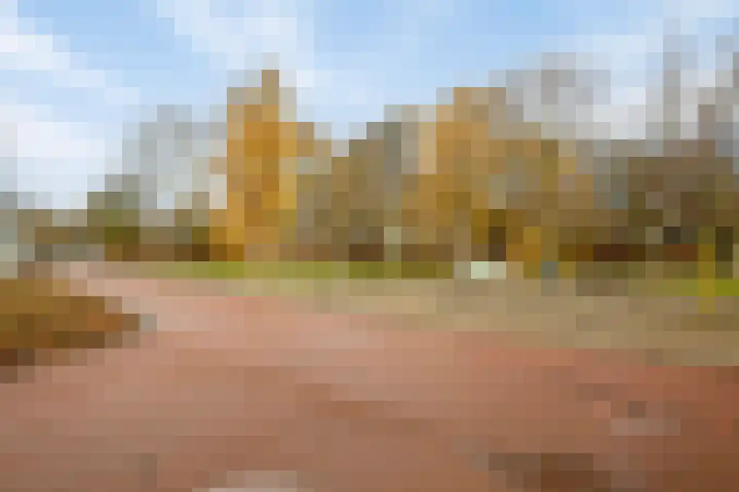 Wilgenplaslaan 384 Rotterdam thumbnail 29