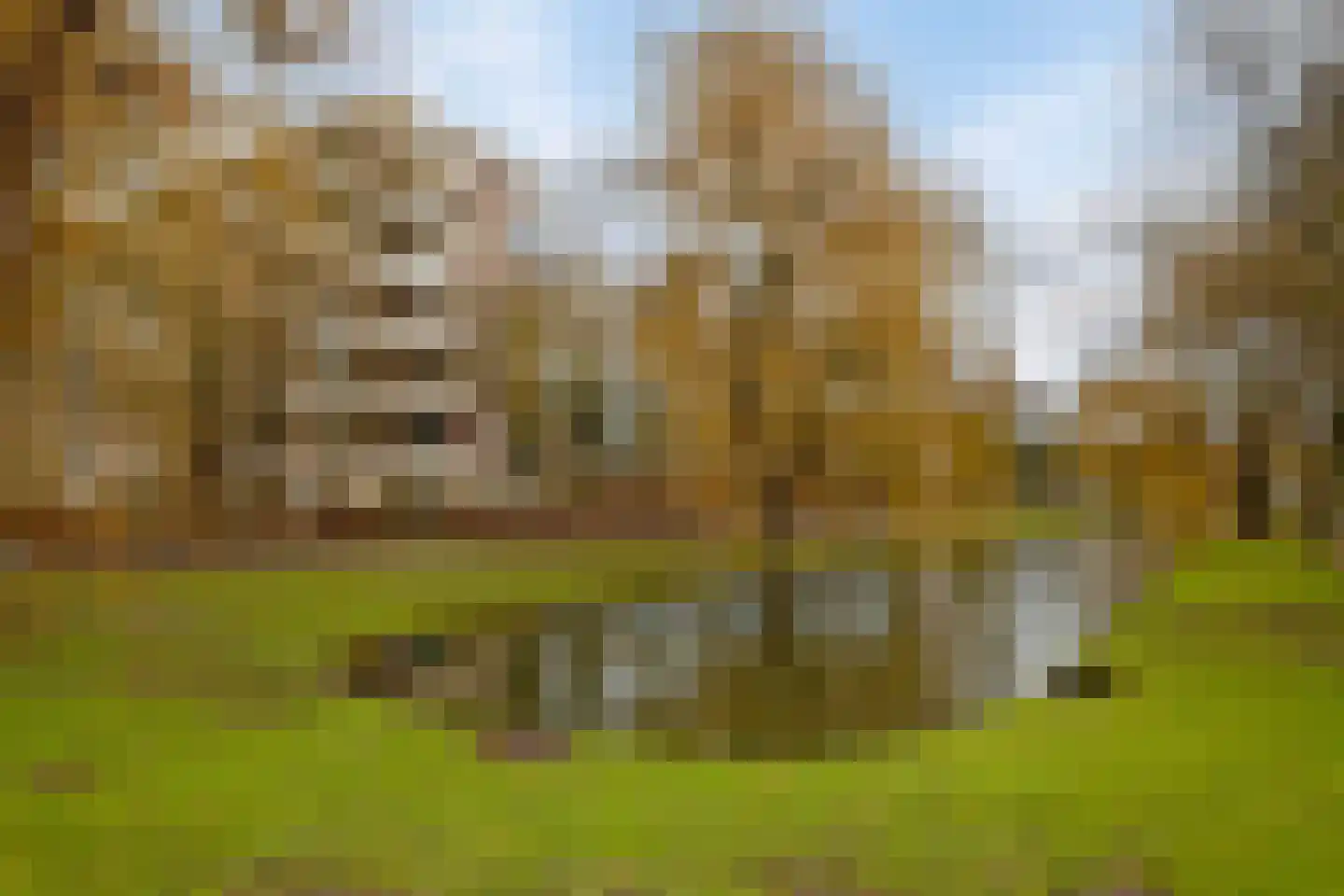 Wilgenplaslaan 384 Rotterdam thumbnail 30