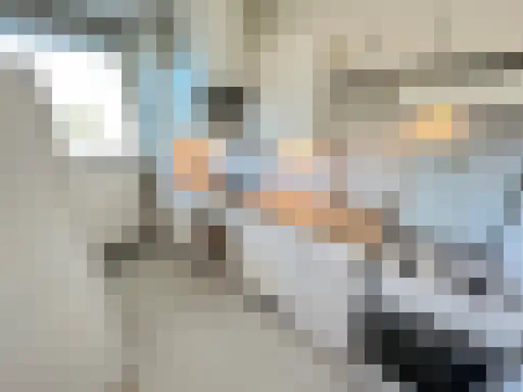 Wilgenplaslaan 388 Rotterdam thumbnail 5