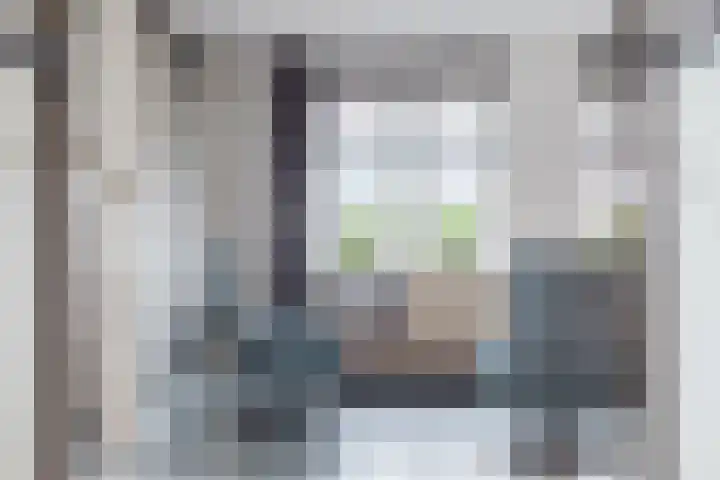 Wilgenpoel 30 Heerenveen thumbnail 17