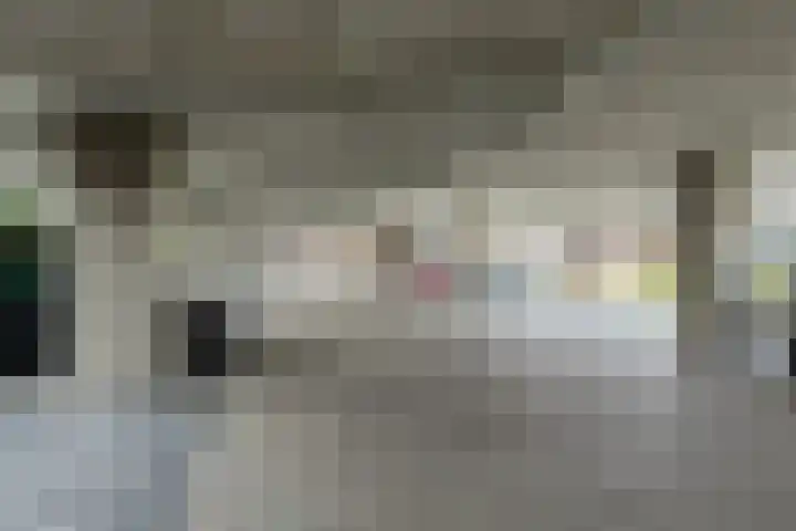 Wilgenpoel 30 Heerenveen thumbnail 35