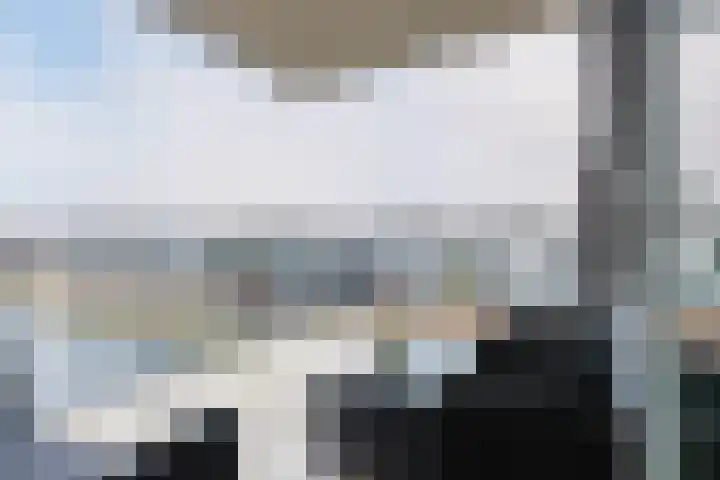 Wilgenpoel 30 Heerenveen thumbnail 5