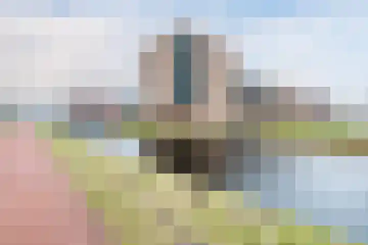 Wilgenpoel 30 Heerenveen thumbnail 7