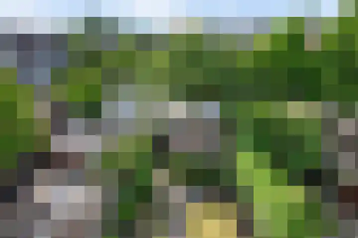 Wilgenrand 36 Noordwijk thumbnail 31
