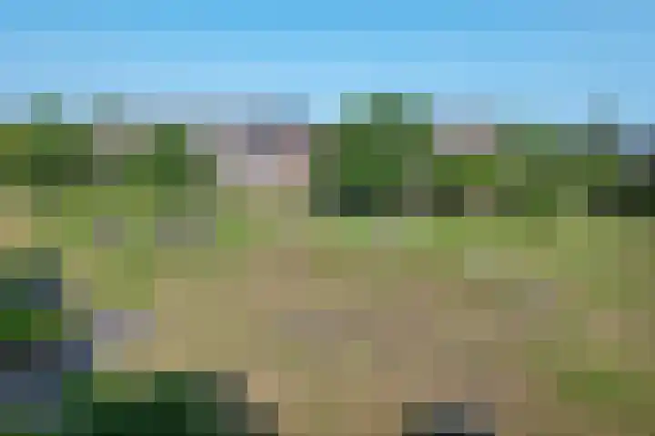 Wilgenrand 36 Noordwijk thumbnail 33