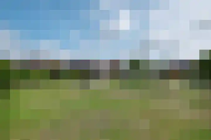 Wilgenrand 36 Noordwijk thumbnail 34