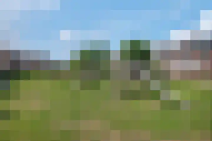 Wilgenrand 36 Noordwijk thumbnail 35