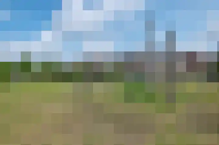 Wilgenrand 36 Noordwijk thumbnail 36