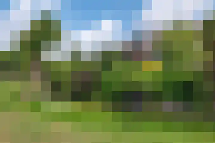 Wilgenrand 36 Noordwijk thumbnail 37