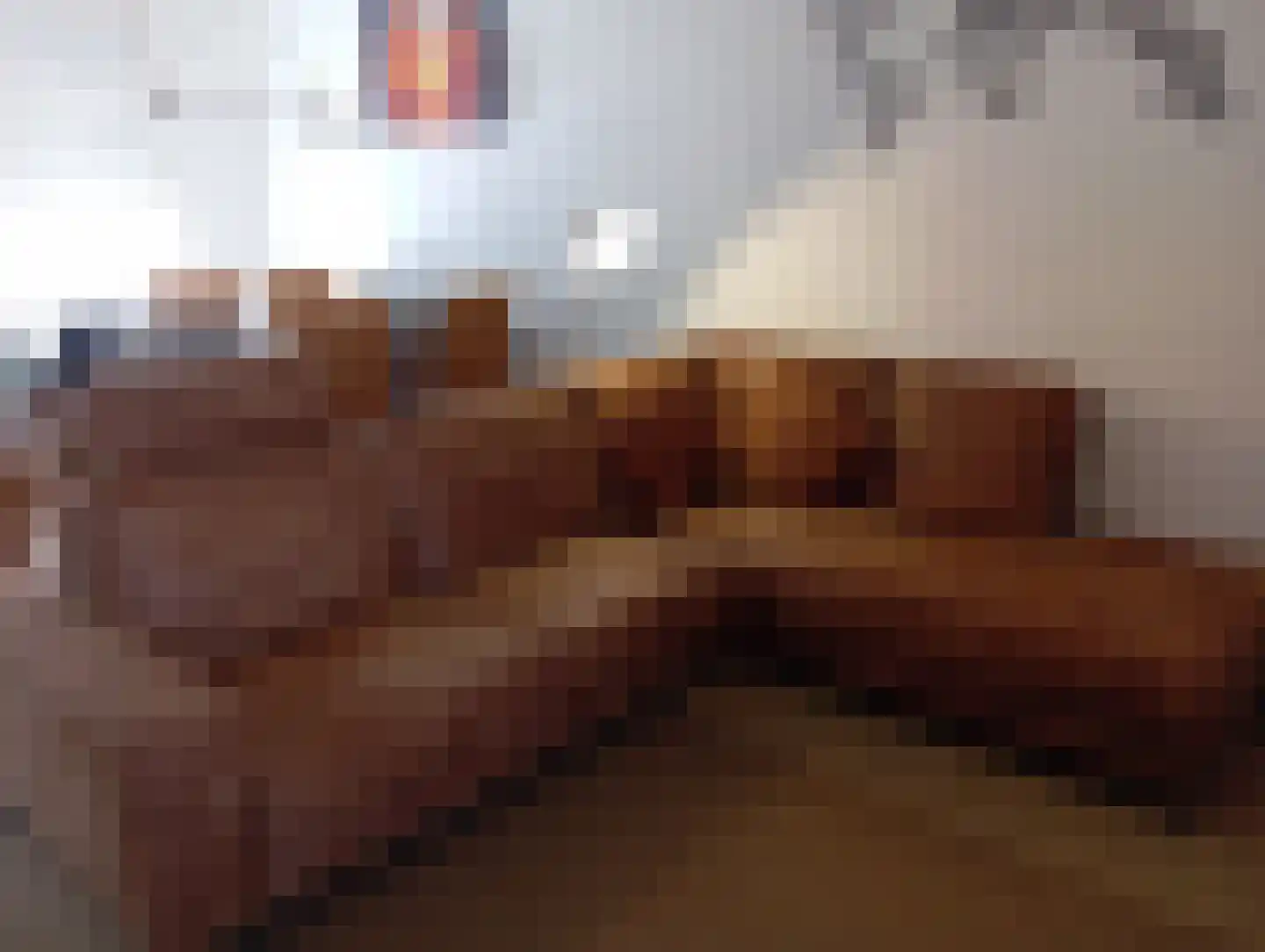 Wilgenrijs 18 St. Willebrord thumbnail 6