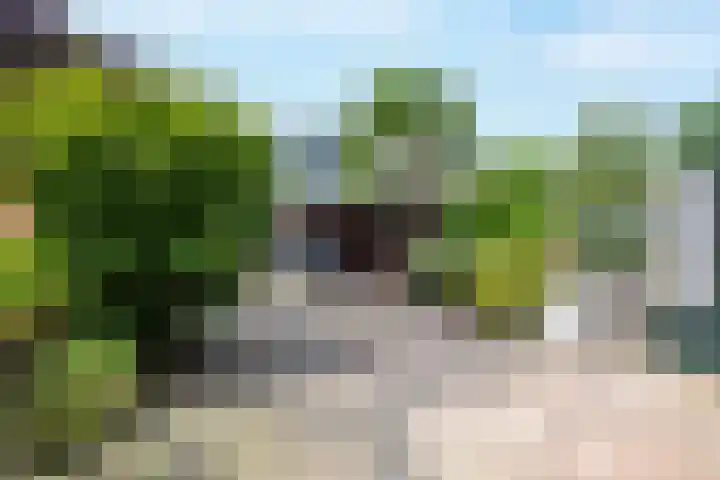 Wilgenroos 13 Purmerend thumbnail 37