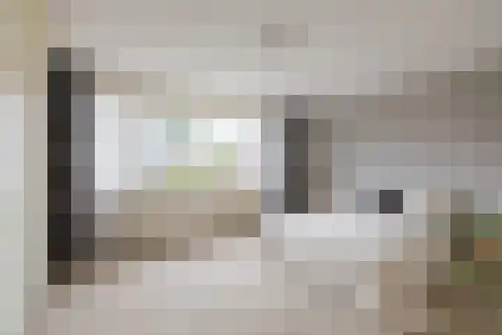 Wilgenroos 13 Purmerend thumbnail 4