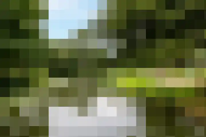 Wilgenroos 13 Purmerend thumbnail 42