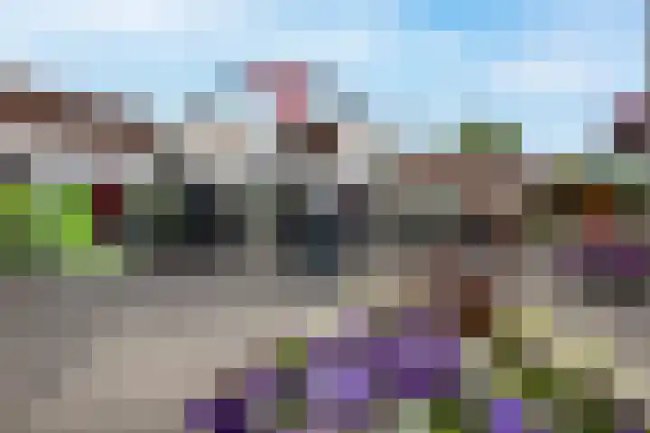 Wilgenroos 13 Purmerend thumbnail 43