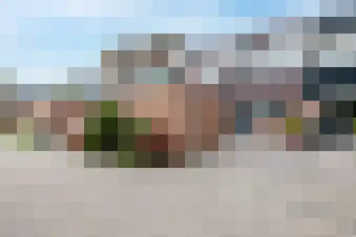 Wilgenroos 13 Purmerend thumbnail 6