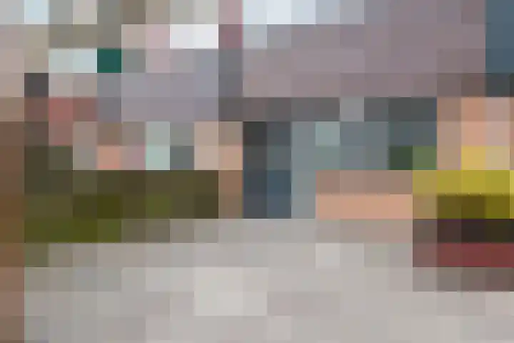 Wilgenroos 13 Purmerend thumbnail 7