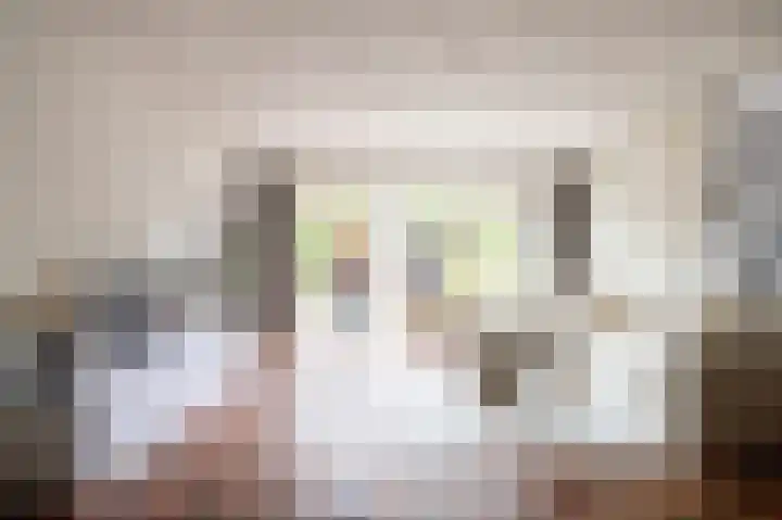 Wilgenroos 13 Purmerend thumbnail 9