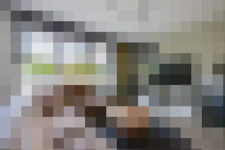 Wilgenroos 15 Hoeven thumbnail 10