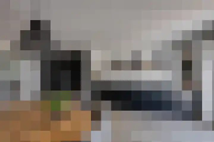 Wilgenroos 15 Hoeven thumbnail 11