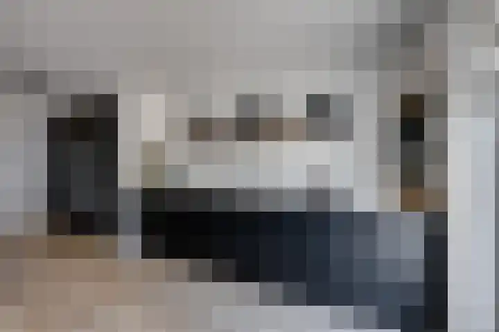 Wilgenroos 15 Hoeven thumbnail 13
