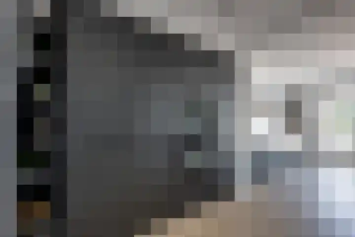 Wilgenroos 15 Hoeven thumbnail 15