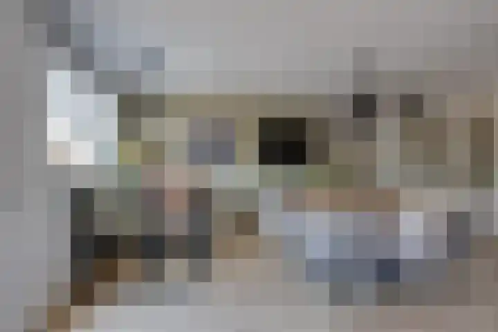 Wilgenroos 15 Hoeven thumbnail 16