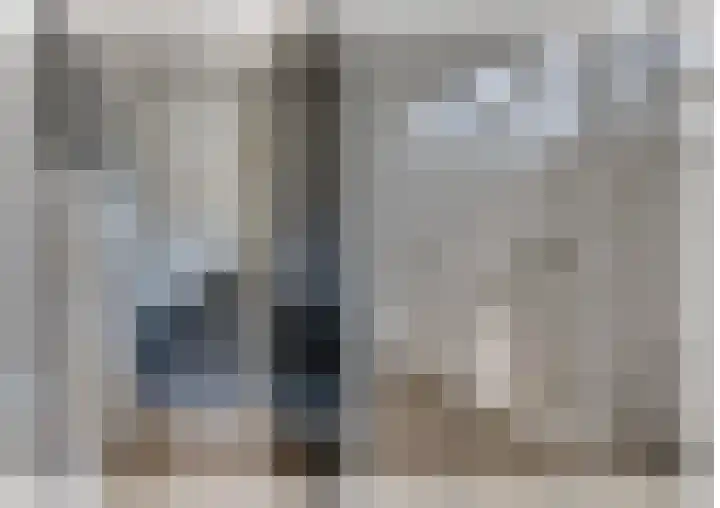 Wilgenroos 15 Hoeven thumbnail 17