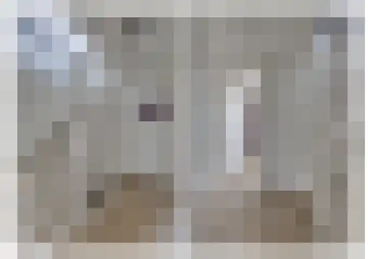 Wilgenroos 15 Hoeven thumbnail 18