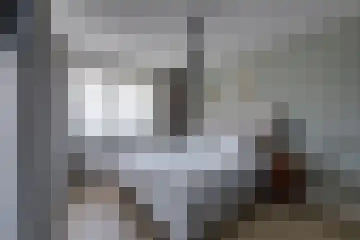 Wilgenroos 15 Hoeven thumbnail 19