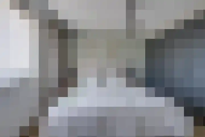 Wilgenroos 15 Hoeven thumbnail 21