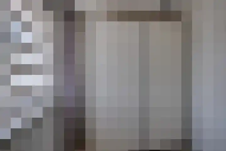 Wilgenroos 15 Hoeven thumbnail 24