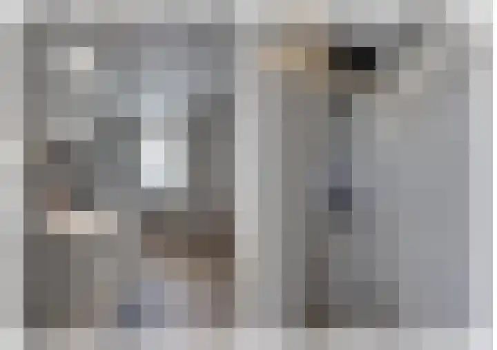 Wilgenroos 15 Hoeven thumbnail 25