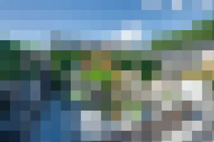 Wilgenroos 15 Hoeven thumbnail 31