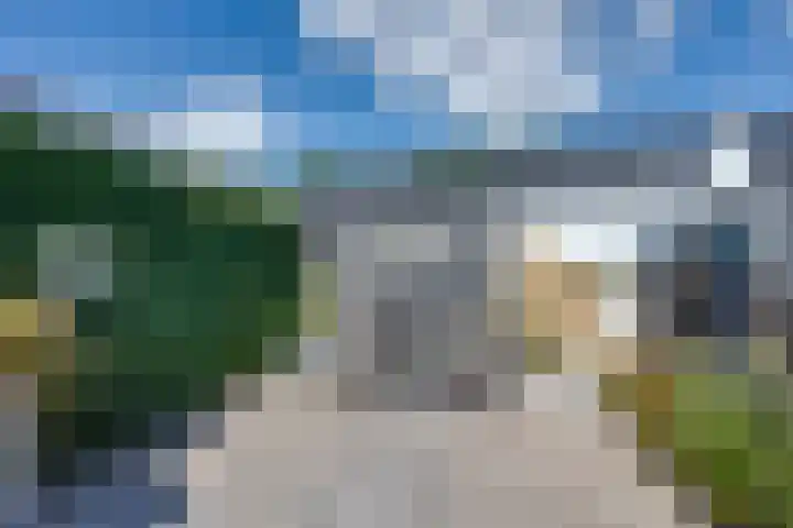 Wilgenroos 15 Hoeven thumbnail 32