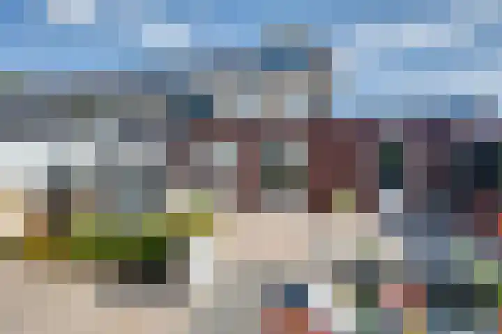 Wilgenroos 15 Hoeven thumbnail 33
