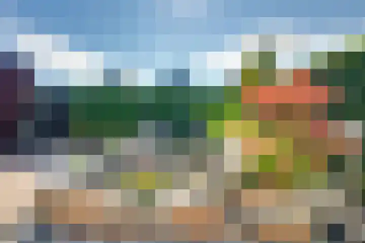 Wilgenroos 15 Hoeven thumbnail 34