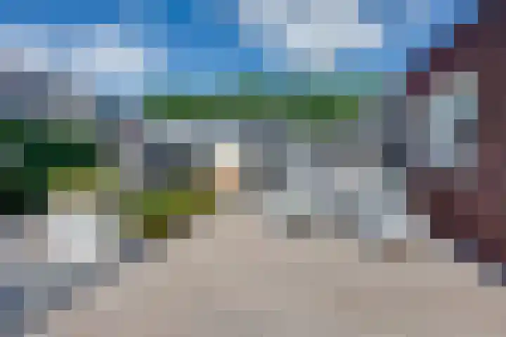 Wilgenroos 15 Hoeven thumbnail 35