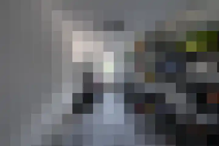 Wilgenroos 15 Hoeven thumbnail 37