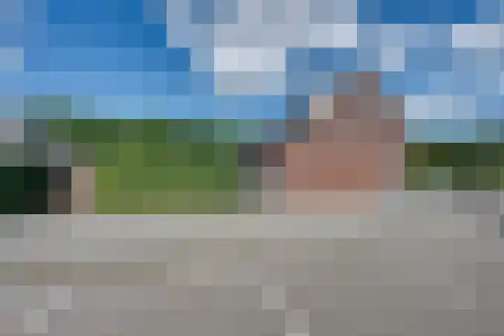 Wilgenroos 15 Hoeven thumbnail 38