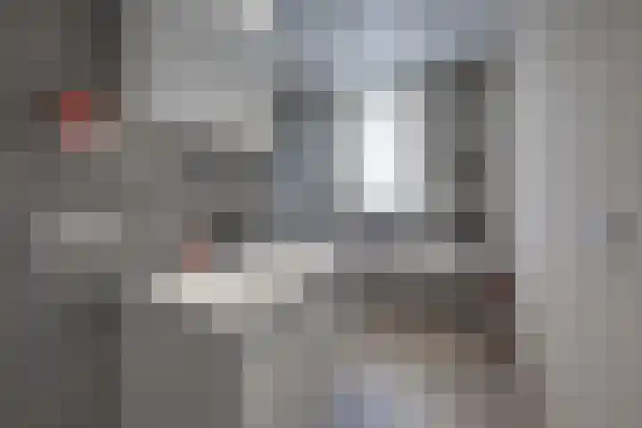 Wilgenroos 15 Hoeven thumbnail 4
