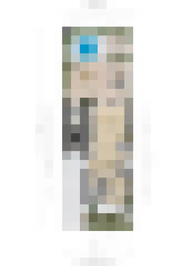 Wilgenroos 15 Hoeven thumbnail 43