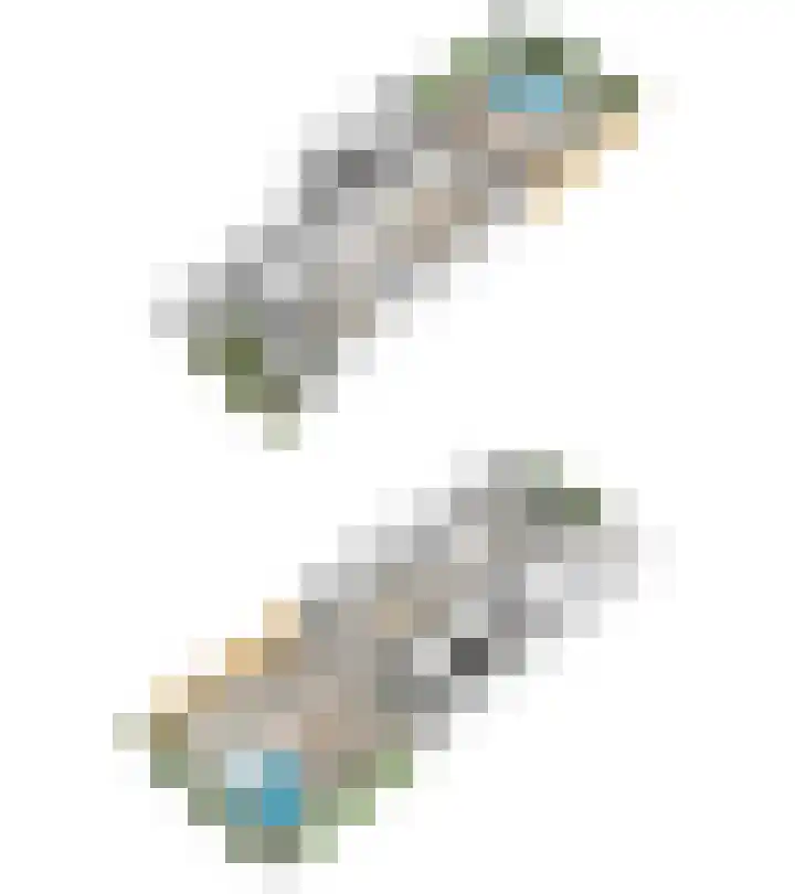 Wilgenroos 15 Hoeven thumbnail 44
