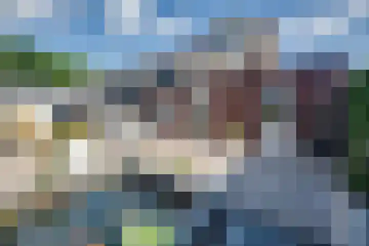 Wilgenroos 15 Hoeven thumbnail 5