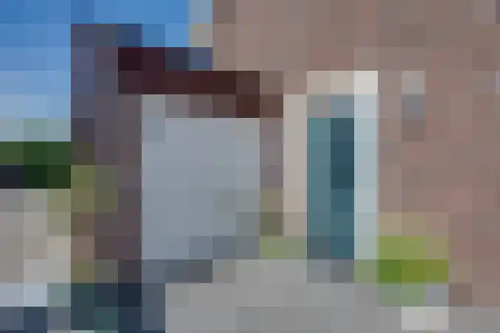 Wilgenroos 15 Hoeven thumbnail 6