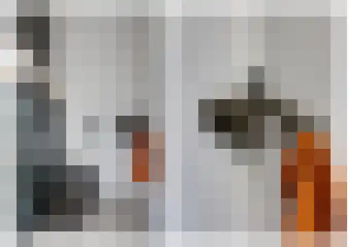 Wilgenroos 15 Hoeven thumbnail 7