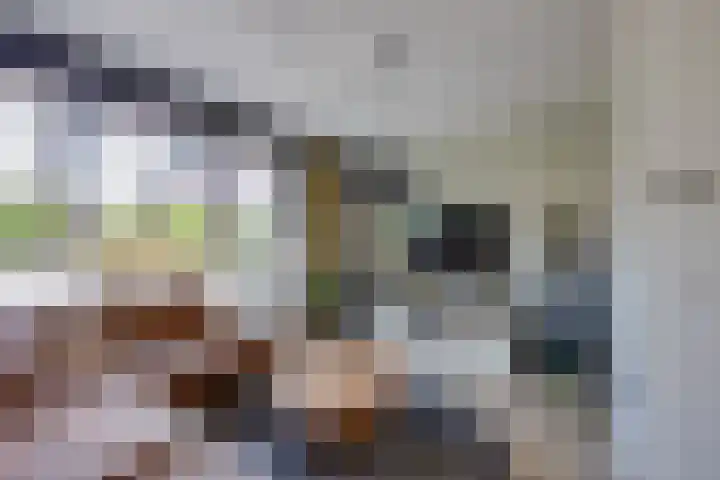 Wilgenroos 15 Hoeven thumbnail 8