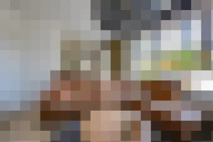 Wilgenroos 15 Hoeven thumbnail 9