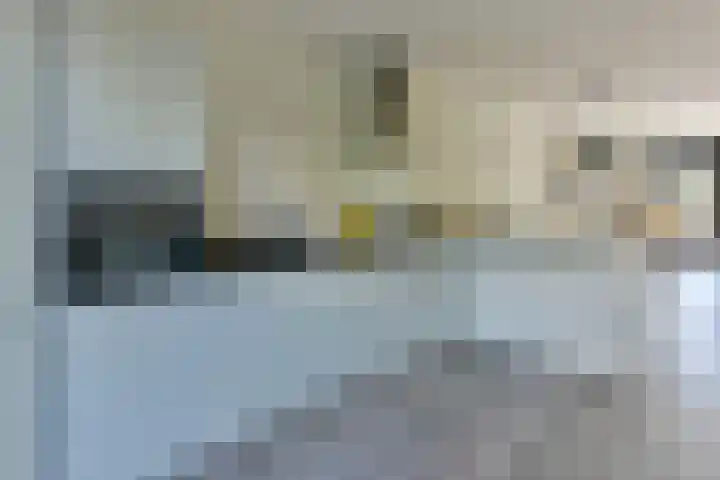 Wilgenroos 2 Kockengen thumbnail 11