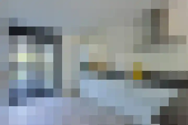 Wilgenroos 2 Kockengen thumbnail 12